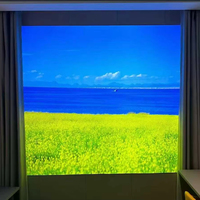 Panneau publicitaire rétroéclairé LED personnalisé en film souple imprimé pour l'intérieur et l'extérieur