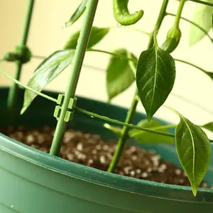 Plastik çiçek standı ev bitki standı bitki destek domates kafesleri