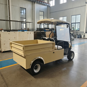 Carrito de Golf Eléctrico Personalizado de 2 Plazas Todoterreno con Caja de Carga Trasera, Motor de 3500W-7500W y Batería de Litio - Product Image 4