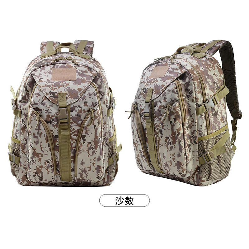 สีดิจิทัลทะเลทราย