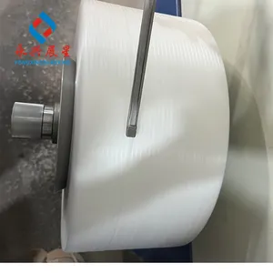5mm Box Plastic Packing Strip PP Packing Strap Packing Belt 5mm