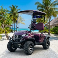 Carrito de Golf Eléctrico de 2 Plazas, Color Morado, Motor de CA de 4kW, Suspensión MacPherson, Freno Hidráulico de Doble Circuito, Autonomía de 80-100 km