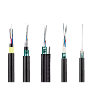 Cable de fibra óptica para exteriores ADSS ASU GYTC8S Cable de fibra óptica aéreo autónomo 48 Core SM