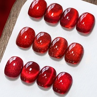 HEMA FREE DannyColl Collection Rouge 20 Couleurs – Kit de Vernis Gel Effet Œil de Chat – Marque Privée – Vente en Gros – Vernis à Ongles Gel Effet Œil de Chat – Logo Personnalisé