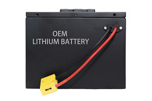 Sıcak satış Ebike pil 48V 60V 72V pil paketi lityum iyon piller - Product Image 3