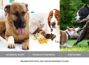 Pet Supplies Pet <span class=keywords><strong>Leash</strong></span> Outdoor Laufen Reflektierende doppelt einziehbare Hunde leine Hunde kette - Product Image 6