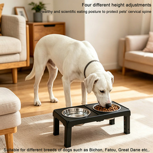Ciotole Rialzate per Cani di Taglia Grande, Pieghevoli, Regolabili, Antiscivolo, Impermeabili, in ABS e Acciaio Inox, Personalizzabili, OEM - Product Image 1