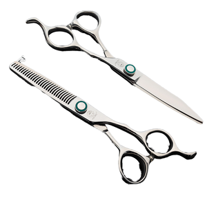 Tijeras de Peluquería PROSEE 5.5 6.0, Acero Inoxidable, Profesionales, de Salón, Modelo Champion, con Dientes en V, 30 Dientes, para Diestros - Product Image 1