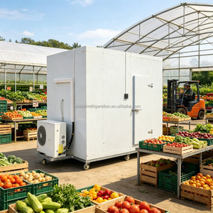 Large Capacity <b>Container</b> Walk-In Freezer, Commercial Cold Storage, Digital Thermostat, Automatic Defrosting Cold Storage - Product Image 4