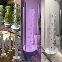 Système de culture vertical aéroponique à étages personnalisés avec pompe et lumière LED pour balcon, serre, ferme urbaine intérieure, garantie 1 an