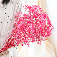 Bunga Baby Breath Dekoratif Rumah Grosir, Bunga Gypsophila Alami Diawetkan Kering