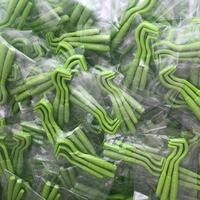 Kit de 3 extracteurs de tiques et de puces en plastique robuste, de tailles variées, efficaces pour chats et chiens
