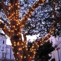 Chaîne d'ampoules LED avec effet de flamme, 2 m, produit de haute qualité, pour jardin et en extérieur, décoration féerique de riz, arbre de noël