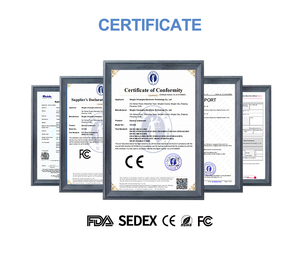 Cepillo <span class=keywords><strong>de</strong></span> <span class=keywords><strong>Dientes</strong></span> Eléctrico Sónico a Precio <span class=keywords><strong>de</strong></span> Fábrica, Resistente al Agua IPX7, Nuevas Tendencias 2026, Carga por Micro USB, Esterilización Dental para Adultos - Product Image 5