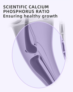 En Çok Satan 10 kg Paket Besleyici Dengeli Kuru Kedi Maması Ücretsiz Numuneler Tahılsız ve Balık İçin İyi Fiyat - Product Image 6