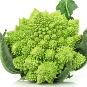 Kit <span class=keywords><strong>de</strong></span> jardin <span class=keywords><strong>potager</strong></span> moderne pour enfants, idéal comme cadeau, avec courgette, chou-fleur, haricot français, carotte et plus encore - Product Image 6