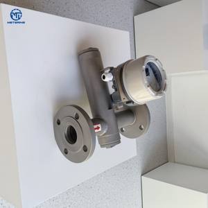 Rotamètre à tube métallique haute précision pour l'eau, les eaux usées, le biogaz, les installations de traitement de l'air et des gaz dans l'énergie renouvelable - Product Image 2