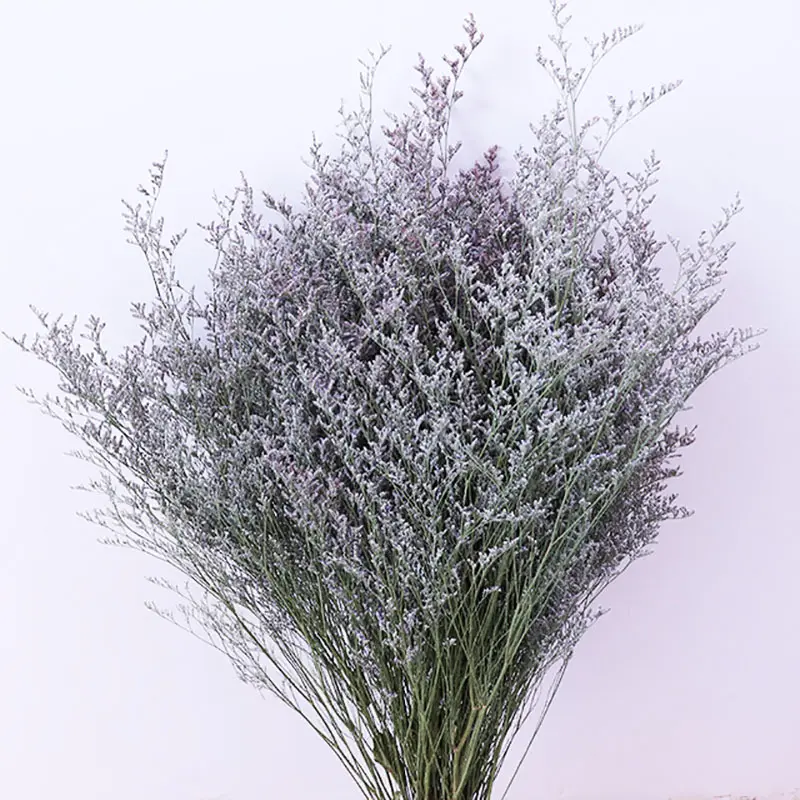 120g/पैक ग्रेड एक सजावटी फूल संरक्षित प्रक्षालित सूखे Limonium प्रेमी घास के Resup