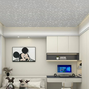 Plasterboard <b>Ceiling</b> <b>Tile</b> 2 X 4 Ft Starry Sky Effect Fiber Optic LED Lights Artistic <b>Ceilings</b> For Living Room Home Theater - Product Image 2