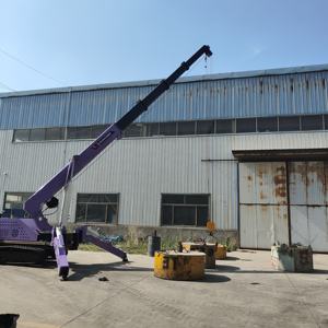 เครนแบบใช้ไฟฟ้าทาน้ำมันเครื่องยนต์ดีเซลแบบสองหัวขนาด18เมตร8ton เครนตีนตะขาบ - Product Image 5