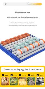 Incubadora Comercial de Huevos <span class=keywords><strong>para</strong></span> 500 Huevos con Controlador Inteligente y Sistema Automático de Volteo de Huevos - Product Image 3