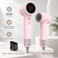 Mini-sèche-cheveux ionique portable 1600W léger avec diffuseur pour voyage et usage domestique, vente en gros, ODM personnalisé