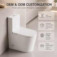 WC intelligent à poser au sol certifié CE, avec bidet intégré, sans bride, à chasse directe, siphon S/P, réservoir d'eau, pour projets, vente en gros directe usine
