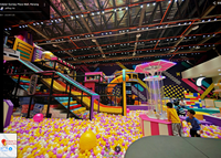 Aire de jeux intérieure personnalisée MiDuoMi, grande structure de jeu, filet d'escalade pour enfants, toboggan, équipement de parc d'attractions, 3-13 ans