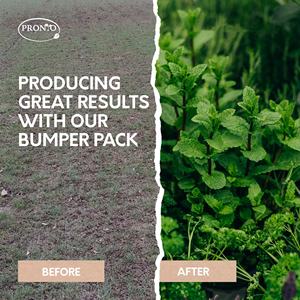 Kit de <span class=keywords><strong>jardin</strong></span> d'herbes aromatiques et classiques pour la maison comprenant des herbes aromatiques et classiques pour cultiver votre propre <span class=keywords><strong>jardin</strong></span> - Product Image 2