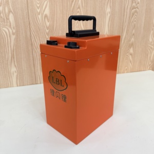 Аккумулятор LiFePO4 60В 50Ач для двух- и трехколесных электромобилей (EV Swap), со встроенной BMS, прочный и экологичный - Product Image 2