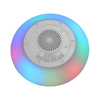 Haut-parleur Coranique Portable, Lecteur Audio Islamique avec Veilleuse LED, Projecteur d'Étoiles, Étanche, Fonctionnant sur Piles, Cadeau pour Enfants