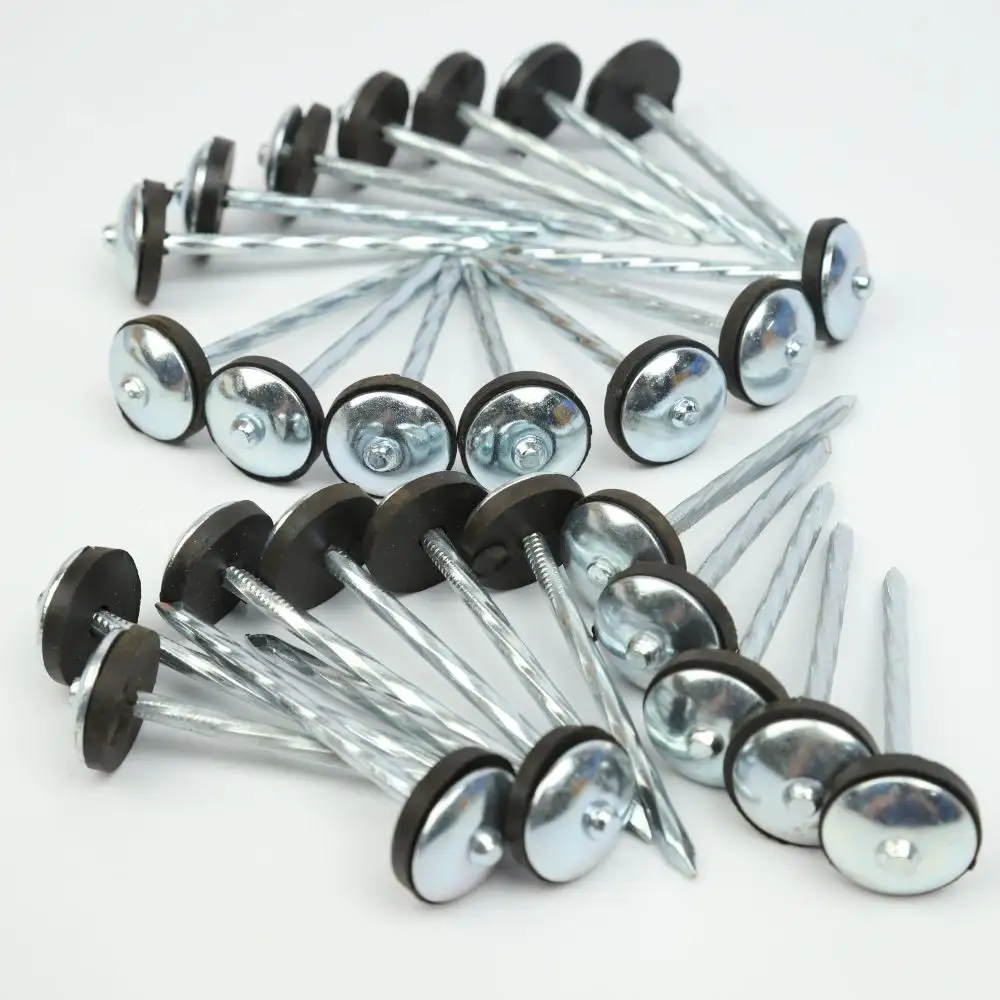 China factory high quality umbrella head roofing nails/corrugated nails with plastic washers