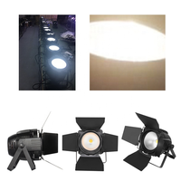 Direct usine chaud Pro blanc froid chaud 100W 200w COB LED Par Can Light pour événement fête théâtre télévision exposition salle de cinéma