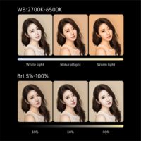 DENGWEI 100W Lumière vidéo LED RGB sur caméra Fabricant chinois Éclairage photographique pour photos de studio