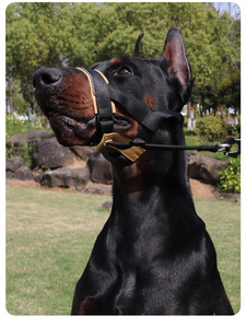 Nuevo Bozal para Perro Compatible con Correa, Anti-Mordida, Anti-Ladrido, Ajustable, de Cuero, para Perros Medianos/Grandes, para Entrenamiento Canino - Product Image 4