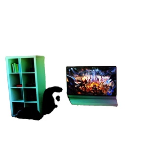 2025 nuevo Hengyu silicona neón Flexible tira música sincronización Control de voz direccionable Rgb <span class=keywords><strong>Led</strong></span> tira Rgbic Smart Wifi <span class=keywords><strong>Led</strong></span> luz de neón - Product Image 4