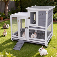 Cage à lapins, cage à lapins d'intérieur à deux étages, cages à cobayes d'extérieur pour petits animaux avec roues, personnalisable