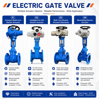 Válvula de Compuerta Eléctrica Z941X con Asiento Resiliente OS&Y DN50-DN600 PN10 PN16 de Hierro Dúctil EPDM de Alta Presión y Resistente a la Corrosión