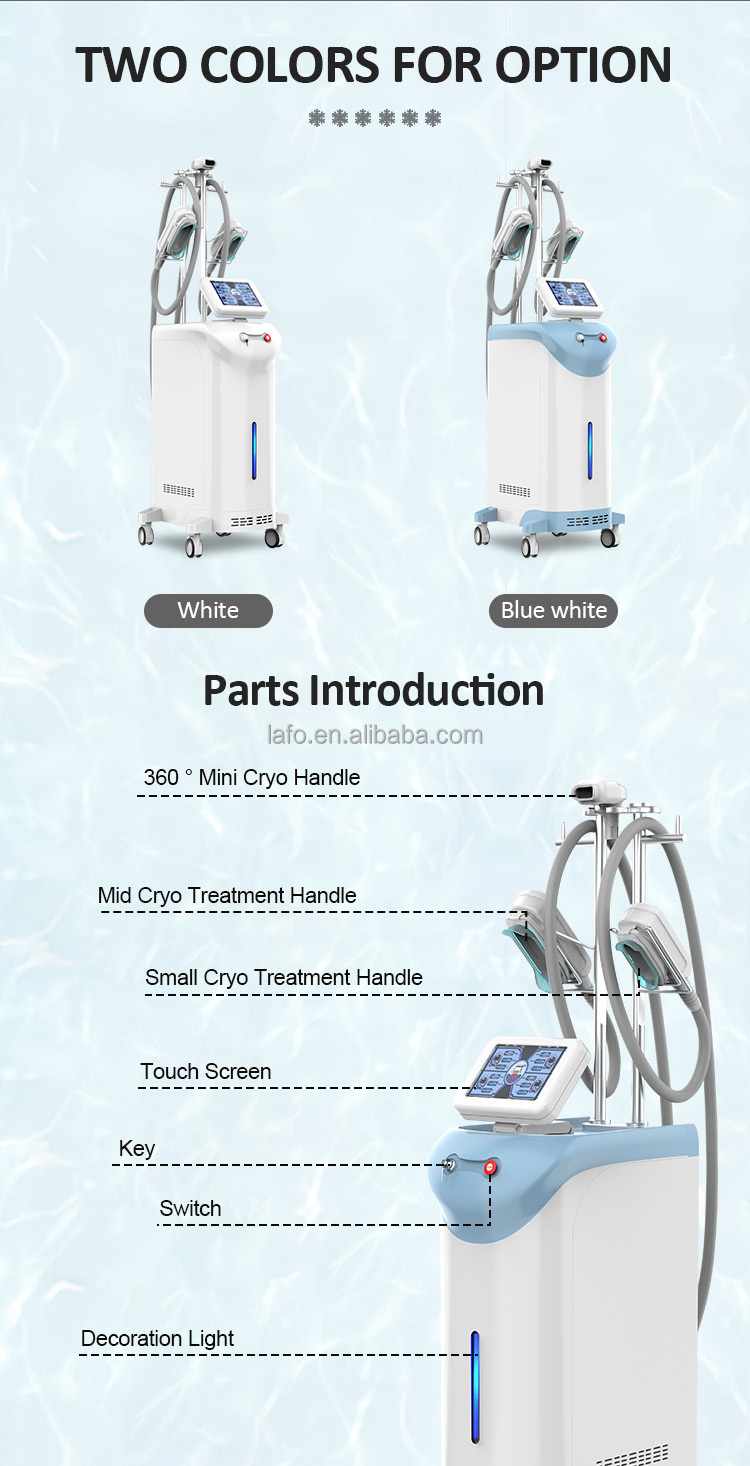 2022 new product cryotherapy 360 cryolipolysis and warm cryolipolysis machine with 3 cryo handles for sale LF-245C