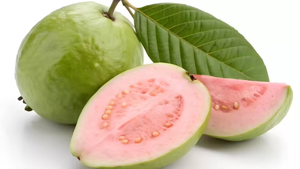 Super Oferta 2026: Guayaba Fresca Natural Pura en Grandes Cantidades con Empaque Personalizado, Guayaba Fresca en Venta por Exportadores - Product Image 5