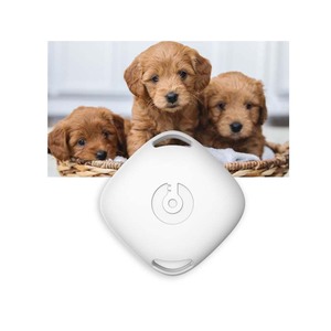 SigmaWit-sensor de temperatura para reptiles, termómetro azul para mascotas, gallinero, nuevo diseño - Product Image 4