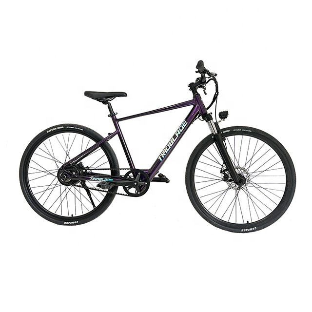 China Factory Single Speed Electric Mountain Bike Aluminum Frame Electric Bicycle 26" Electric Bike E-bike