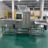 Machine d'inspection par rayons X Fanchi-tech pour boissons et sauces en bouteille, détection automatique des corps étrangers