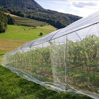 Filet anti-insectes en HDPE 50 mailles, résistant aux UV, anti-pucerons et moucherons, toile d'ombrage agricole pour serres et légumes