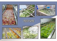 Automatische Industriële Fruitgroente Reinigingsproductielijn Voor Sojabonenmeel Maïsnoot Waskern Motorpomplager