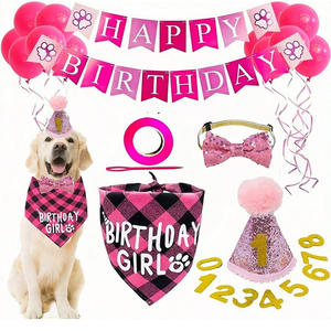 Ensemble de décoration de fête d'<span class=keywords><strong>anniversaire</strong></span> pour animaux de compagnie JXANRY - Écharpe triangulaire en polyester, bavoir, chapeau d'<span class=keywords><strong>anniversaire</strong></span> pour chiens, costume pour animaux de compagnie, nœud papillon, collier - Product Image 2
