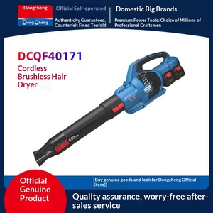 Souffleur de feuilles industriel haute puissance sans balais DCQF40171, batterie lithium rechargeable 6.0Ah pour la construction et la gestion des poussières - Product Image 3