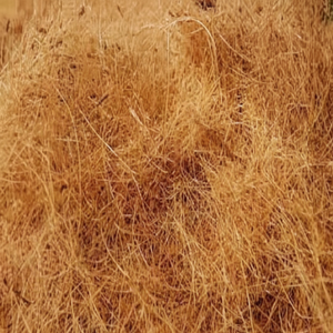 Fibre de noix de coco naturelle de haute qualité pour matelas brosses cordes tapis de culture paillis fibre de coco vente en gros de l'Inde - Product Image 1