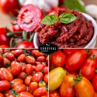 Collection de sachets de graines de tomates non-OGM de variétés héritées, écologiques, Roma et San Marzano, pour la culture en pot et en terre