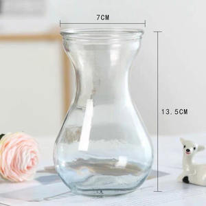 <span class=keywords><strong>Vase</strong></span> de Propagation d'<span class=keywords><strong>Avocat</strong></span> en Verre Clair Avocats Jacinthes Châtaignes Noix <span class=keywords><strong>Vase</strong></span> Bulbe <span class=keywords><strong>Vase</strong></span> en Verre Soufflé - Product Image 6